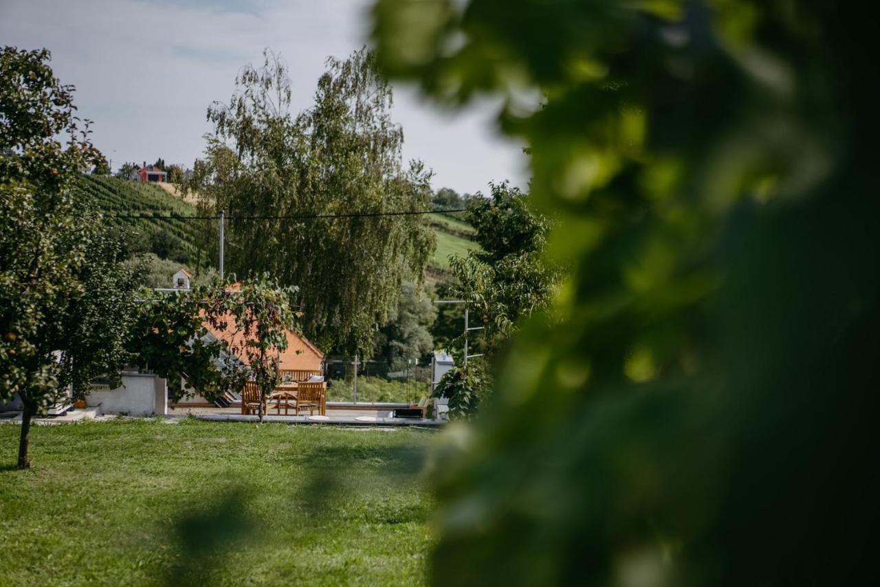 Wein Cottage Kellerstoeckl Eisenberg an der Pinka Bagian luar foto