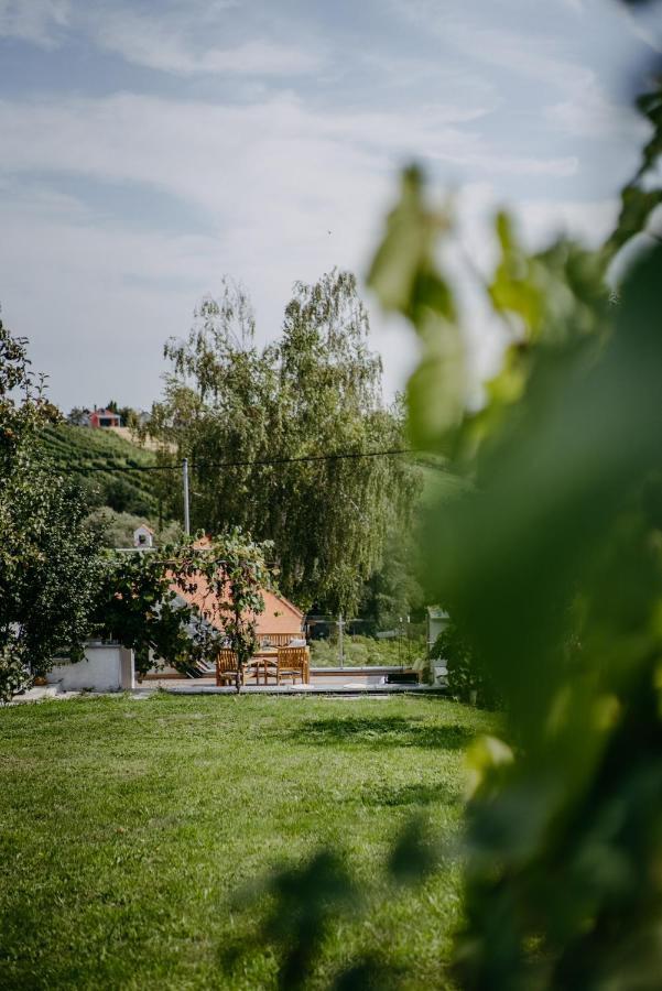 Wein Cottage Kellerstoeckl Eisenberg an der Pinka Bagian luar foto